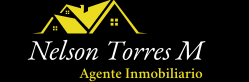 Logo Nelson Torres Agente Inmobiliario